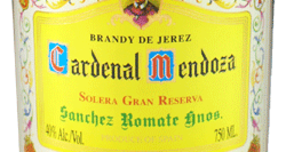 Cardenal Mendoza