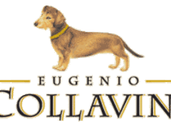 Collavini