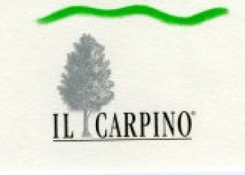 Il Carpino