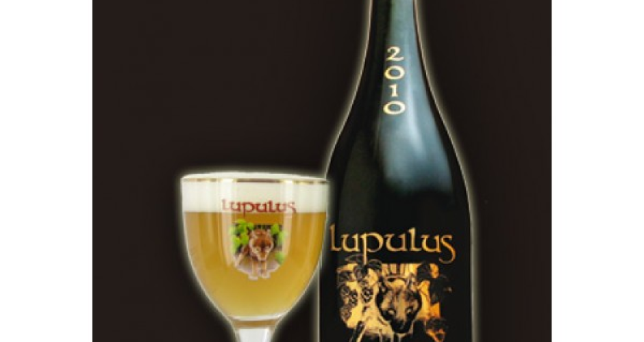 Lupulus