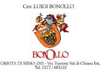 Luigi Bonollo