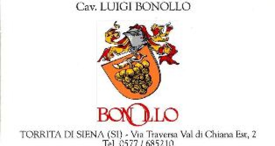 Luigi Bonollo