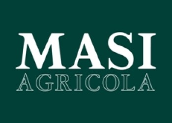 Masi