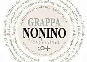 Nonino