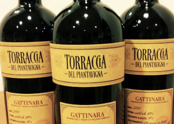 Gattinara – Az. Torraccia del Piantavigna – Piemonte